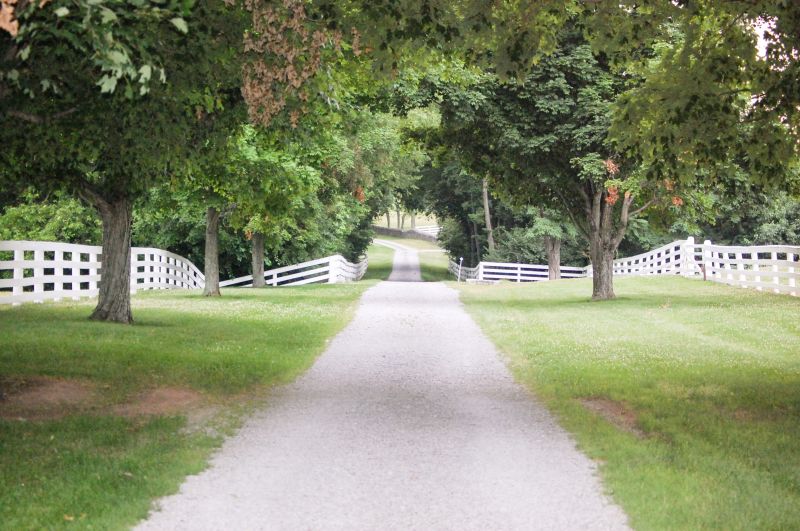 When To Choose Concrete For Walkways And Entryways